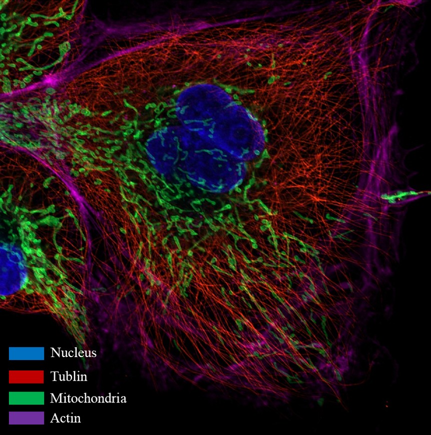 1761794892105052562.jpg 1761794892105052562.jpg