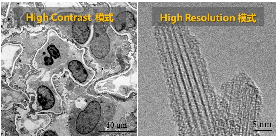 1753251370470049251.jpg 20250730 细胞生物学平台电镜机组日立HT7800透射电子显微镜培训通知 封面图.jpg