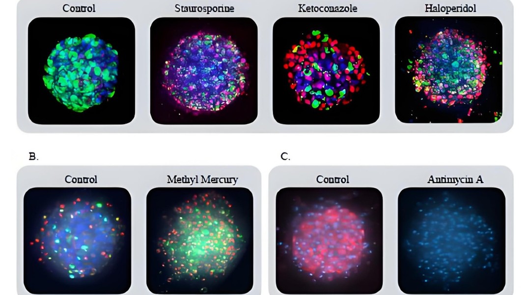 1768535452868031753.jpg 1768535452868031753.jpg