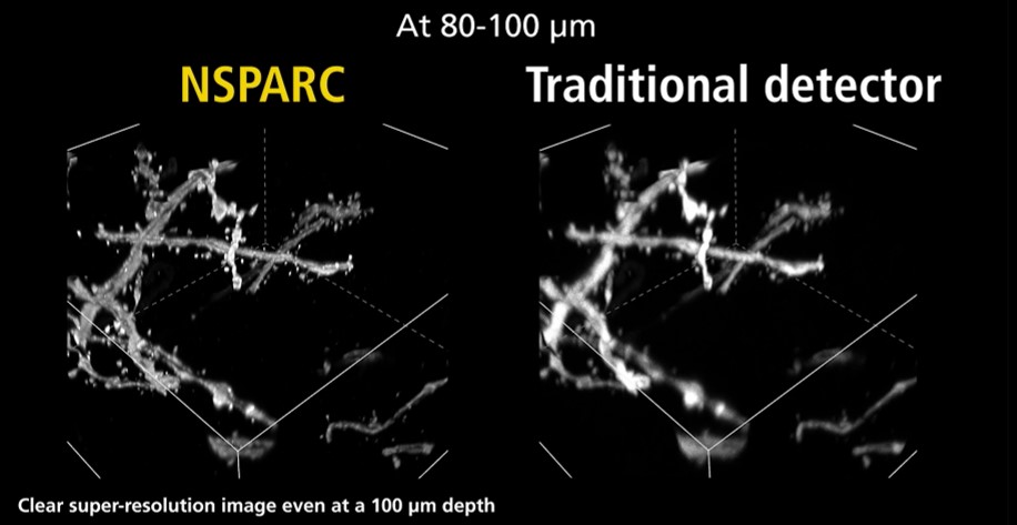 1772759762150072938.jpg 1772759762150072938.jpg