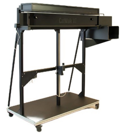 1770015122516050489.jpg 1770015122516050489.jpg