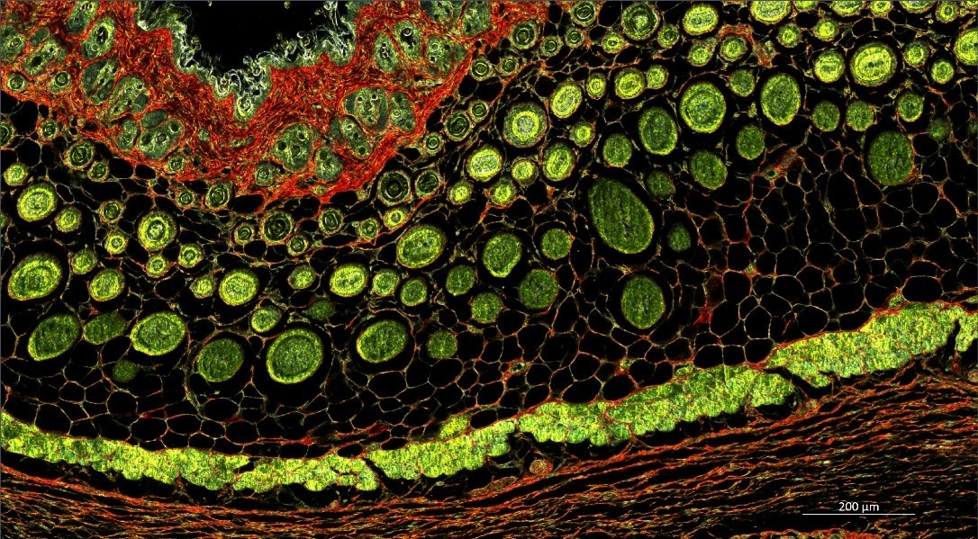 1773295927283003777.jpg 1773295927283003777.jpg