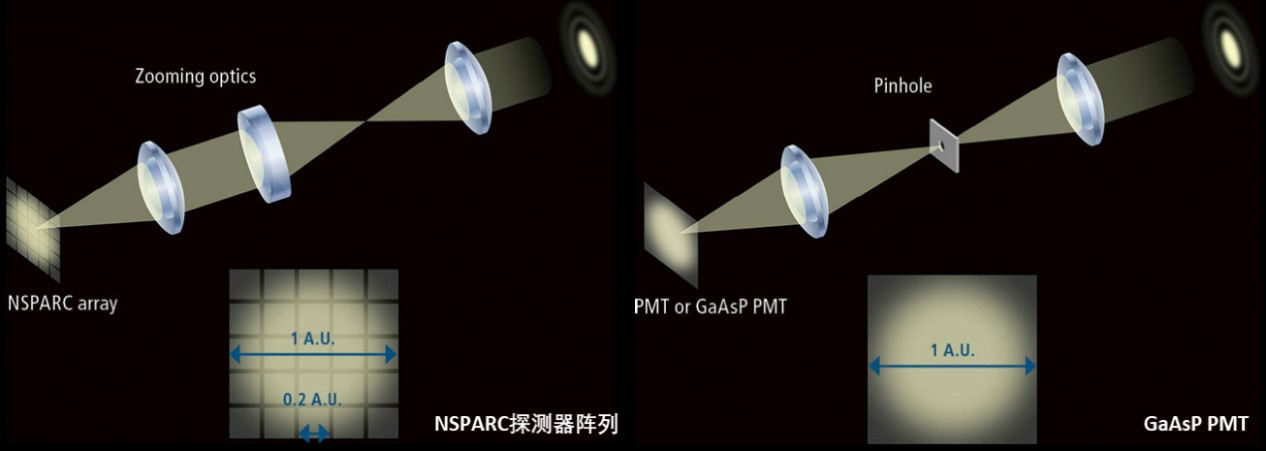 1772759776212042975.jpg 1772759776212042975.jpg