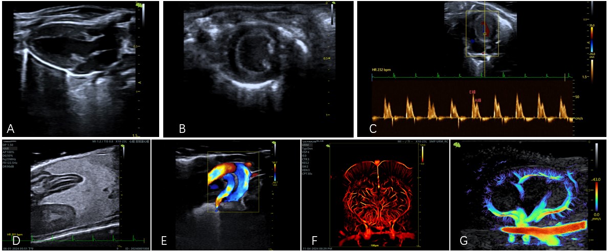 1771911739453067797.jpg 1771911739453067797.jpg