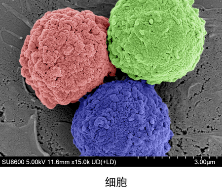 1773196686151065475.png 1773196686151065475.png