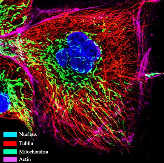 1769654741311090083.jpg 1769654741311090083.jpg