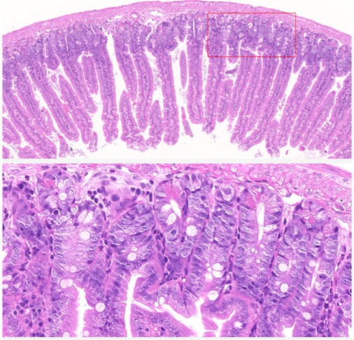 1763448814592014792.jpg 1763448814592014792.jpg